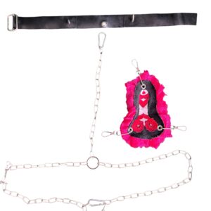 3 in 1 HARNESS W PINK CHARM S-XL