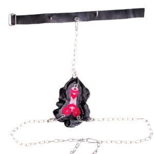 3 in 1 HARNESS W CHARM S-XL